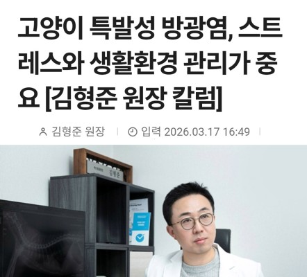 고양이 특발성 방광염, 스트레스와 생활환경…