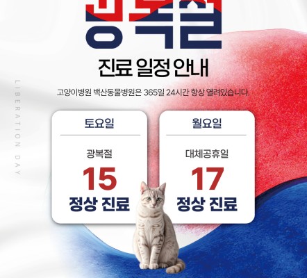 광복절 & 대체공휴일 모두 '정상진료'합니…